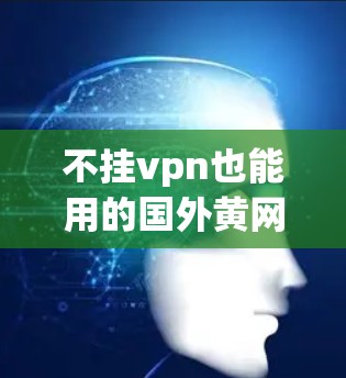 不挂vpn也能用的国外黄网，你的选择指南