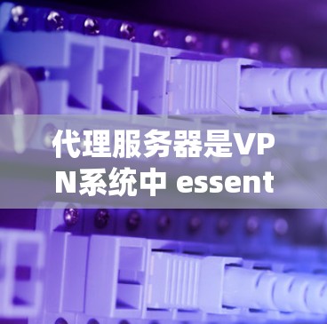 代理服务器是VPN系统中 essential 的组成部分，负责加密和管理数据传输。以下是关于代理服务器的详细说明