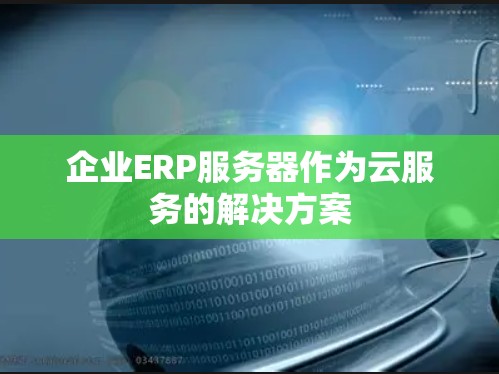 企业ERP服务器作为云服务的解决方案