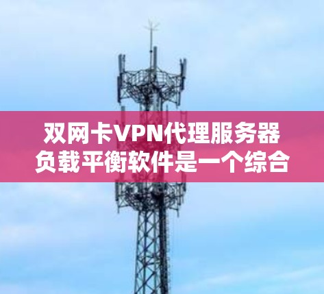 双网卡VPN代理服务器负载平衡软件是一个综合性的工具，主要功能包括