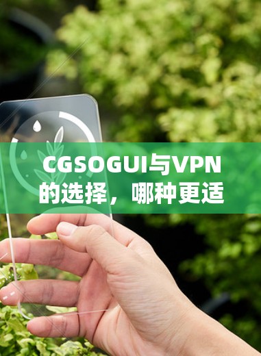 CGSOGUI与VPN的选择，哪种更适合你的游戏体验？