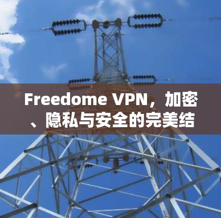 Freedome VPN，加密、隐私与安全的完美结合