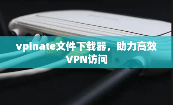 vpinate文件下载器，助力高效VPN访问