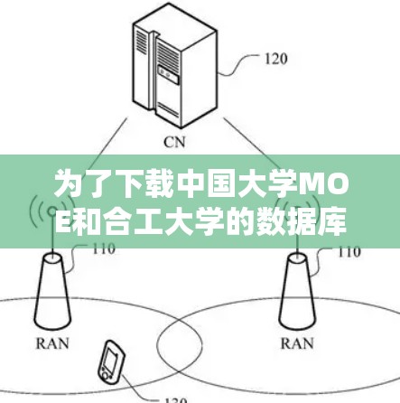 为了下载中国大学MOE和合工大学的数据库，您可以按照以下步骤进行