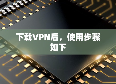 下载VPN后，使用步骤如下