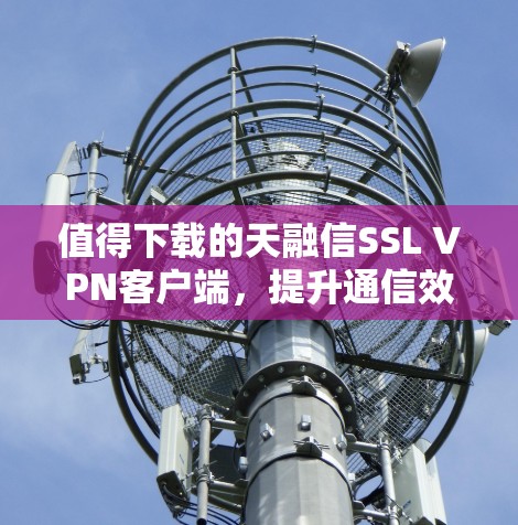 值得下载的天融信SSL VPN客户端，提升通信效率的可靠解决方案