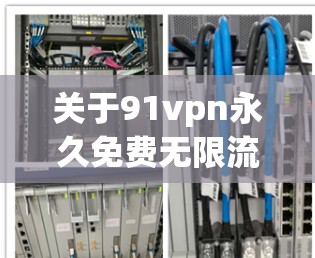 关于91vpn永久免费无限流量，可能指的是91分的无限流量VPN服务，价格通常在1美元左右。以下是一些常见类型的无限流量 VPN 服务