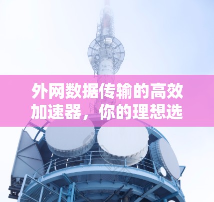 外网数据传输的高效加速器，你的理想选择？