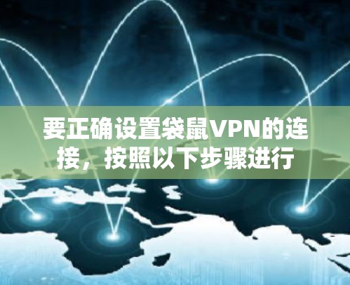 要正确设置袋鼠VPN的连接，按照以下步骤进行