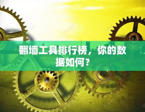 翻墙工具排行榜，你的数据如何？