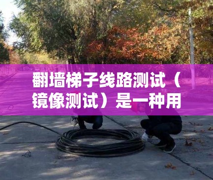 翻墙梯子线路测试（镜像测试）是一种用于检测设备连接情况的测试方法，尤其适用于设备被翻墙或隐藏时的测试。以下是详细的步骤指南