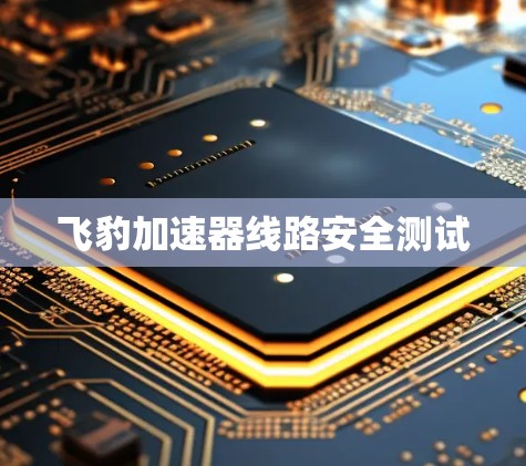 飞豹加速器线路安全测试