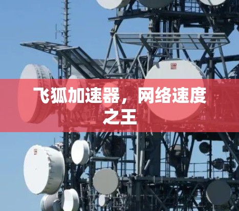 飞狐加速器，网络速度之王