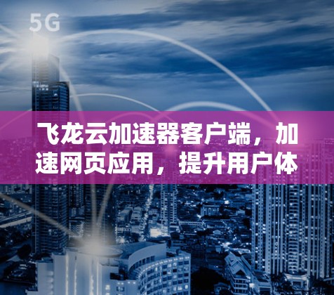飞龙云加速器客户端，加速网页应用，提升用户体验