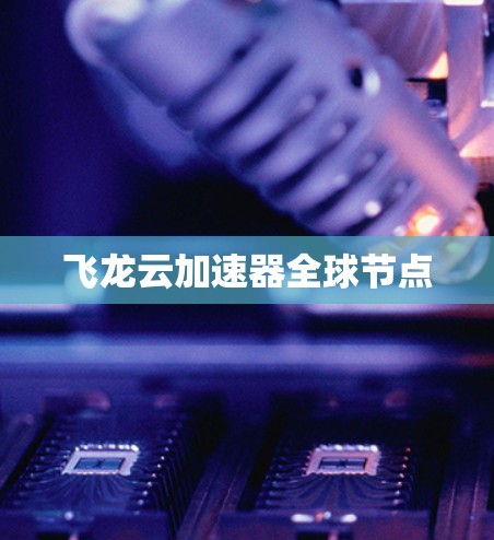 飞龙云加速器全球节点