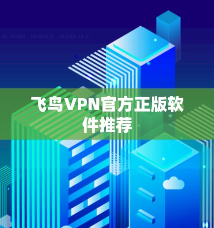 飞鸟VPN官方正版软件推荐
