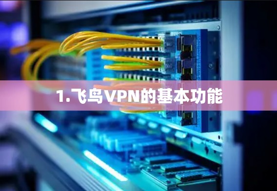 1.飞鸟VPN的基本功能