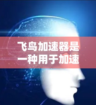 飞鸟加速器是一种用于加速飞行器的技术装置，其使用方法包括以下几个步骤