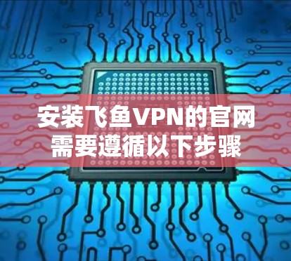 安装飞鱼VPN的官网需要遵循以下步骤