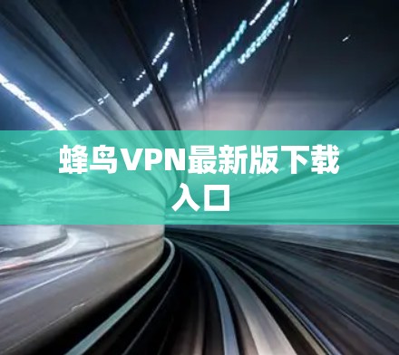 蜂鸟VPN最新版下载入口