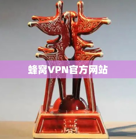 蜂窝VPN官方网站