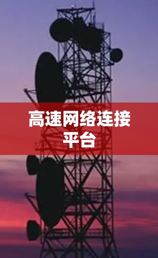 高速网络连接平台