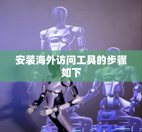 安装海外访问工具的步骤如下