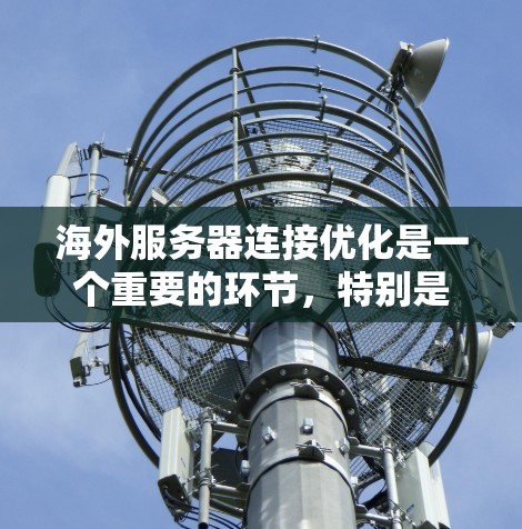 海外服务器连接优化是一个重要的环节，特别是在网络环境复杂、攻击风险高的情况下，确保连接速度和稳定性至关重要。以下是一些建议和优化方案，帮助你有效提升服务器连接速度