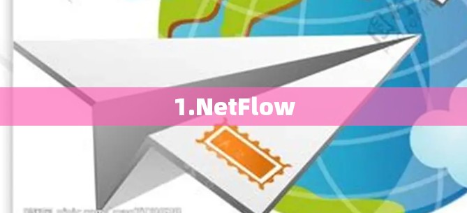 1.NetFlow 1.NetFlow